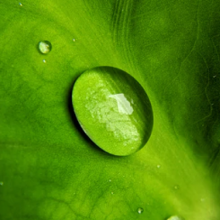 Know your ingredients.