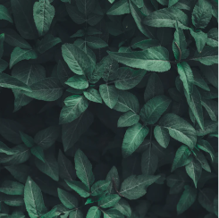 Go gentle on your skin.